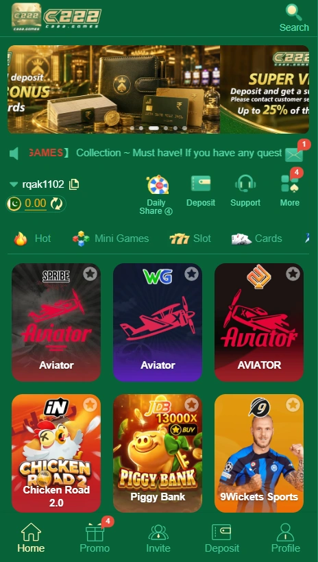 C222 Game App